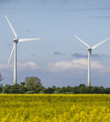 wind farm