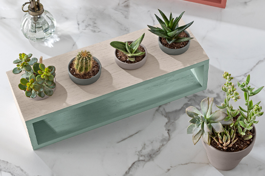 DIY Succulent Garden