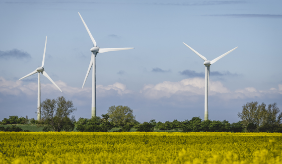 wind farm